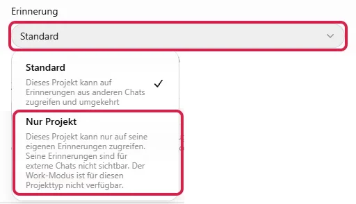 Projekteinstellungen, Feld Erinnerung mit rot markierten Optionen Standard und Nur Projekt