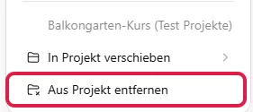 Unterer Teil des Chat-Menüs mit Projektname und In Projekt verschieben, rot markiert Aus Projekt entfernen