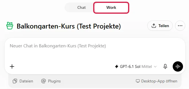 Projektseite mit rot markiertem Umschalter Work über dem Eingabefeld