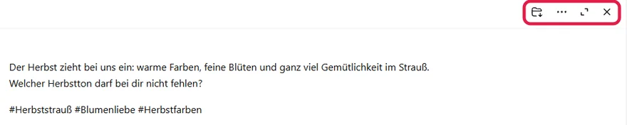 Editor mit den Instagram-Texten und den Symbolen oben rechts für Bibliothek, Mehr, Vollbild und Schließen, rot markiert