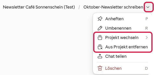 Geöffnetes Menü am Chat-Titel, rot markiert der Pfeil sowie Projekt wechseln und Aus Projekt entfernen