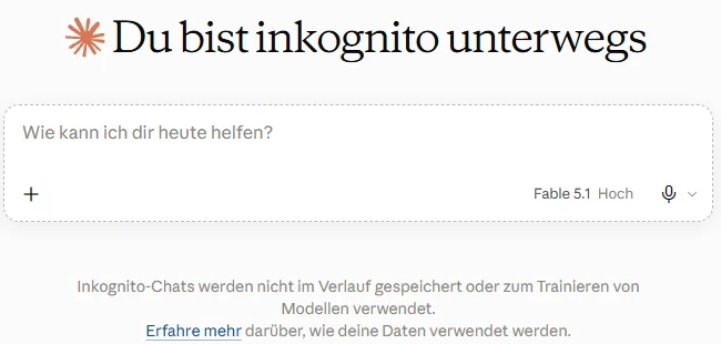 Inkognito-Chat mit der Überschrift Du bist inkognito unterwegs und dem Hinweis zu Verlauf und Training