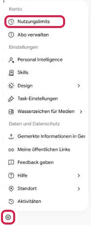 Menü hinter dem Zahnrad unten links, markiert sind das Zahnrad und der Eintrag Nutzungslimits