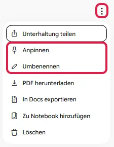 Menü oben rechts im Chat mit Anpinnen und Umbenennen, rot markiert