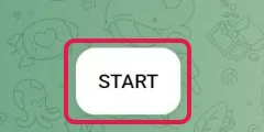 Knopf START im leeren Chat mit dem BotFather, rot markiert