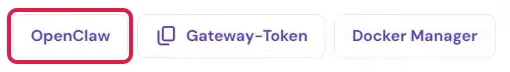 Knöpfe OpenClaw, Gateway-Token und Docker Manager in der VPS-Übersicht, OpenClaw rot markiert