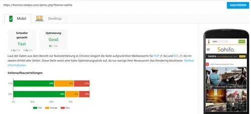 theme page speed test