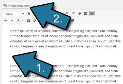 Absatz WordPress PDF einfuegen