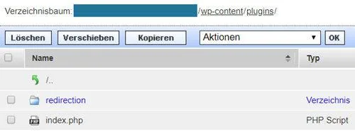 wordpress plugin installieren ftp