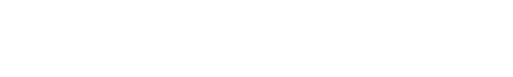 Wirtschaftsakademie Wien
