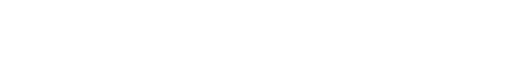 Wirtschaftsakademie Wien